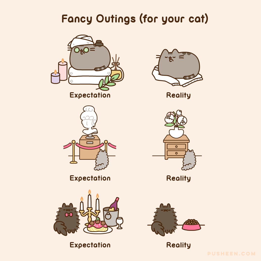 40 Adorable Pusheen Comics