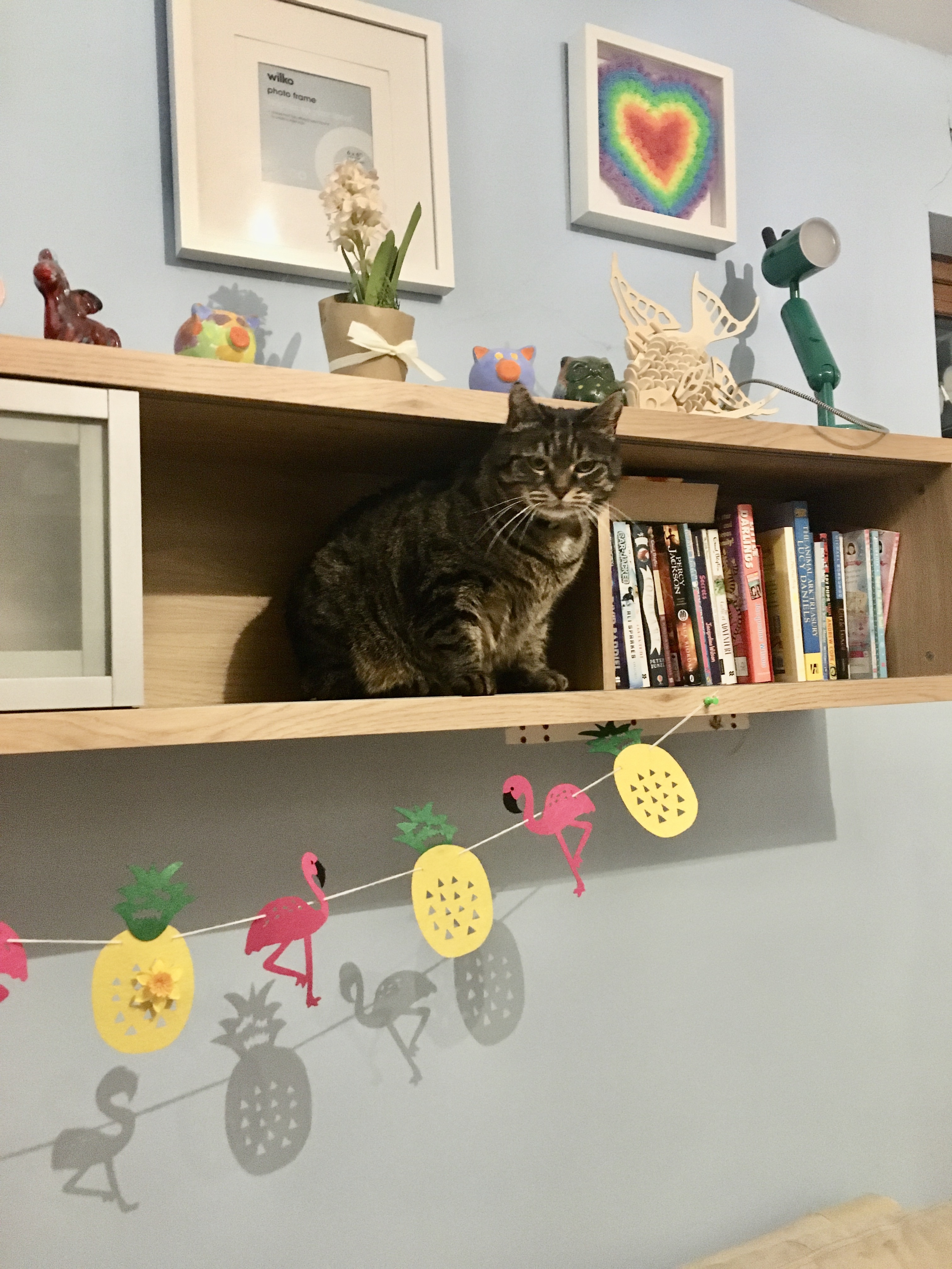 Hey Pandas, Post A Picture Of Your Cat Being A Cat.