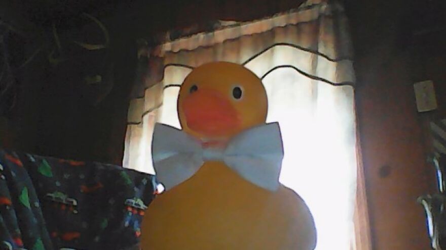 Giant Rubber Duck (Sorry About The Bad Photo)