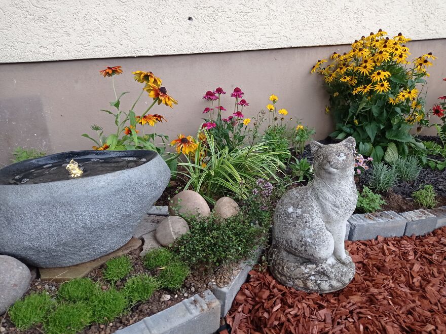 I Built A Small Outdoor Save Space For My Cats