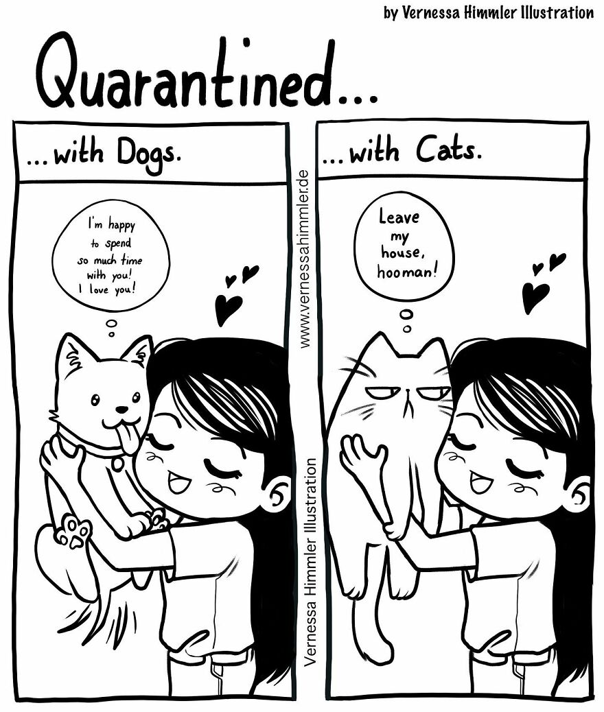 19 New Comics By Vernessa Himmler That Cat Owners Might Find Very ...