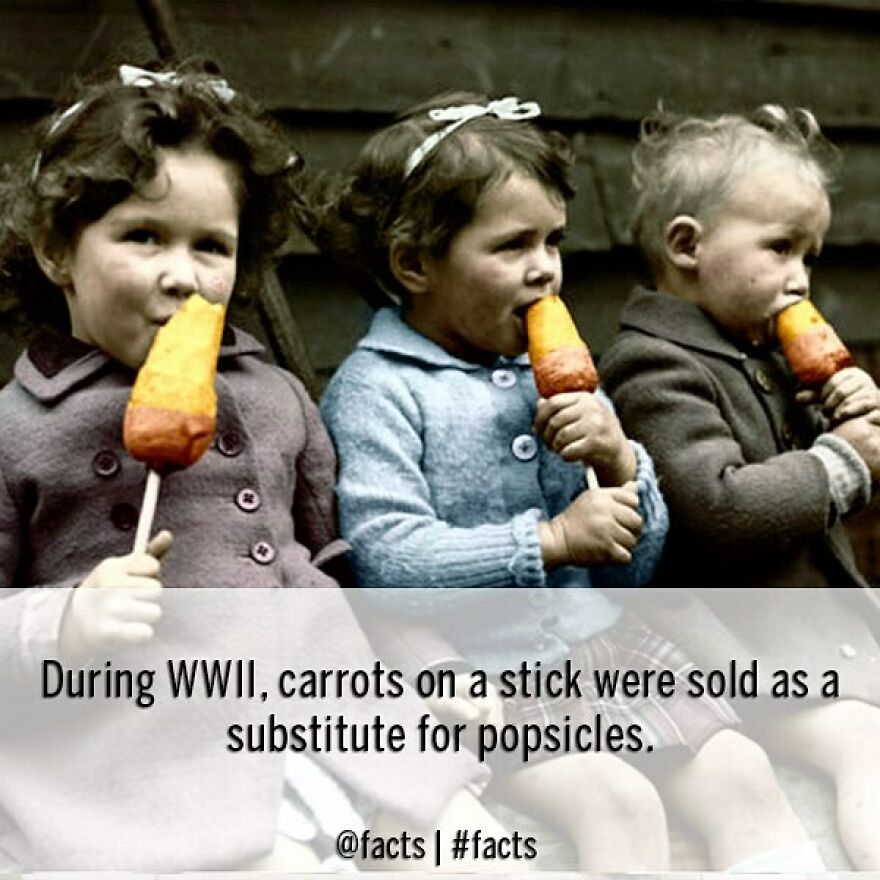 #facts #wwii #carrots #popsicle #food #snack