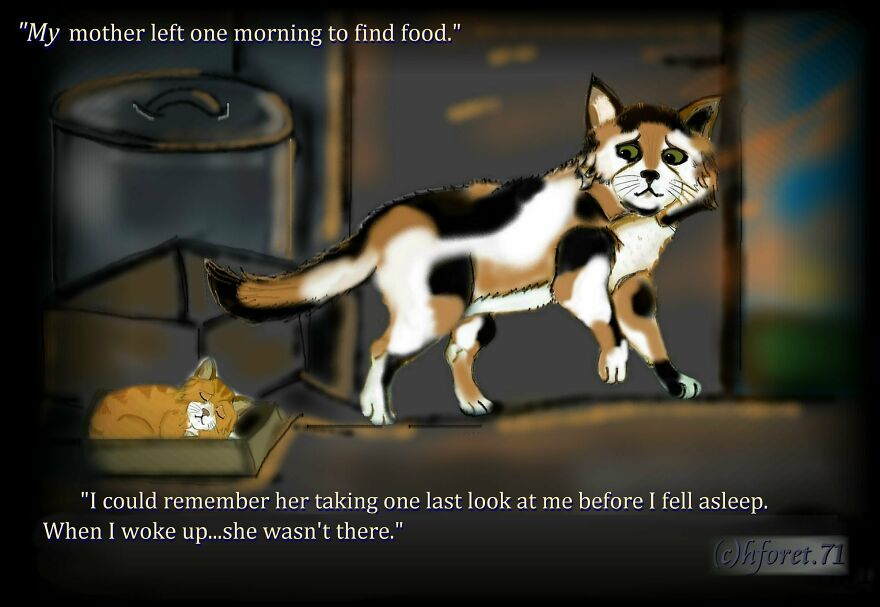 Little Surprises Pt II And III Of My Comics