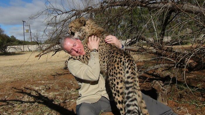Meet Dolph, A Man Who Became Best Friends With A Wild Cheetah
