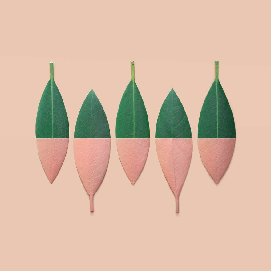 Meet Kristen Meyer's Geometric Compositions