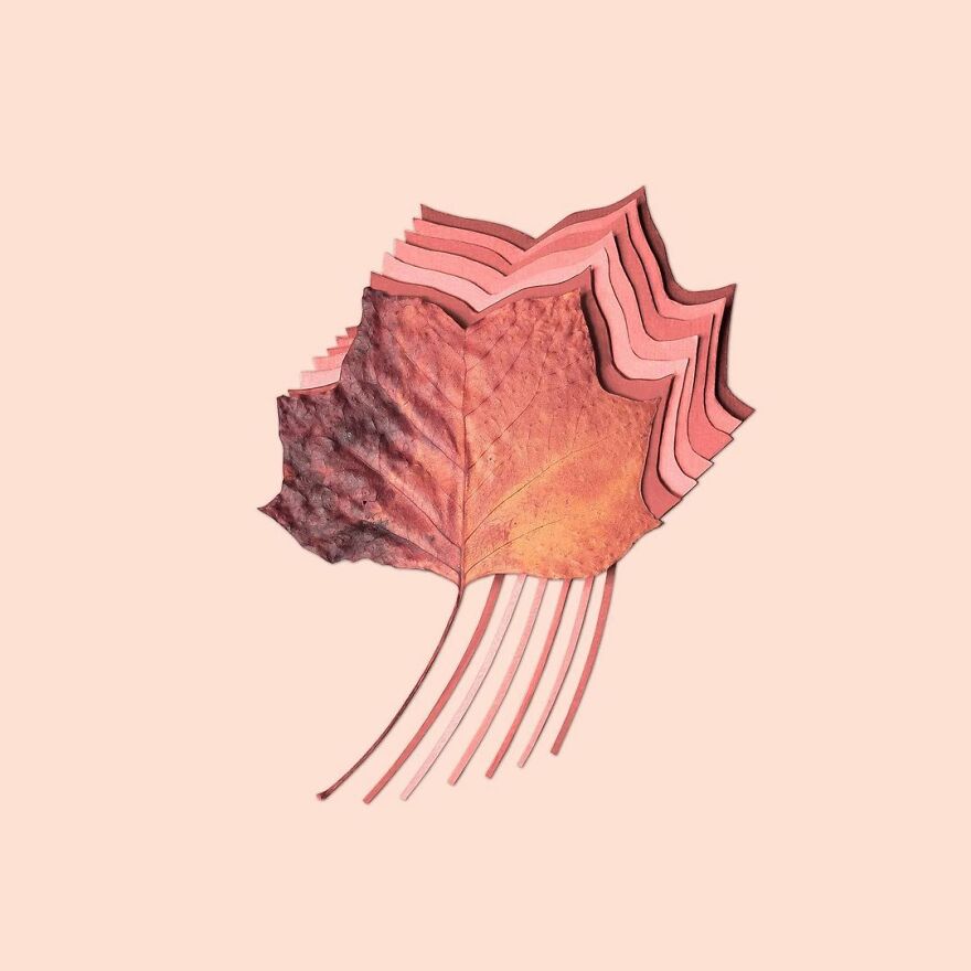 Meet Kristen Meyer's Geometric Compositions