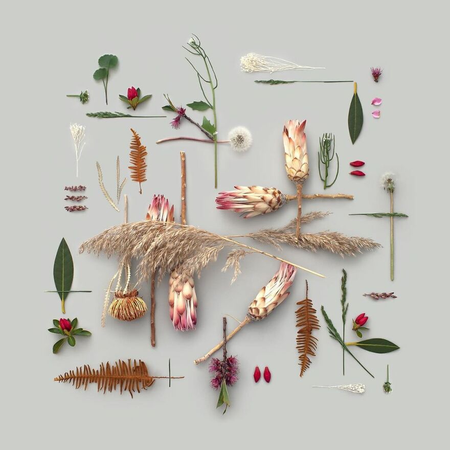 Meet Kristen Meyer's Geometric Compositions