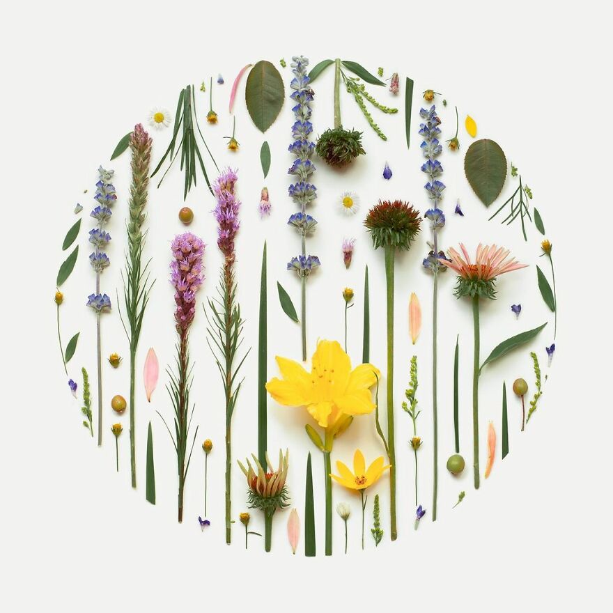 Meet Kristen Meyer's Geometric Compositions