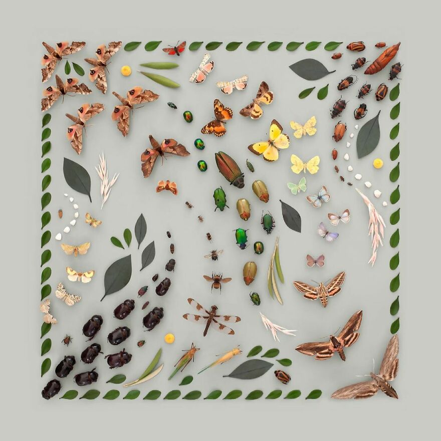 Meet Kristen Meyer's Geometric Compositions