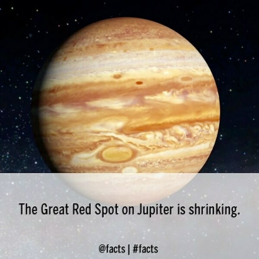 #facts #jupiter #planet #greatredspot #shrinking #universe #solarsystem