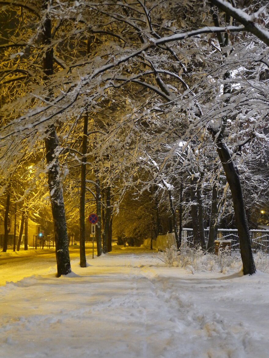 Some Pics Of Winter In Poland