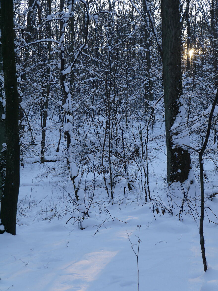 Some Pics Of Winter In Poland