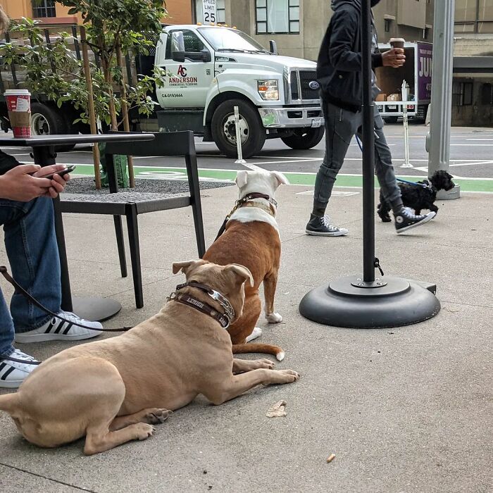 Photographer Captures Incredible Images Of San Francisco's Unique Way Of Life