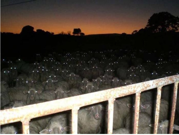 Scariest Photo From Your Camera Gallery