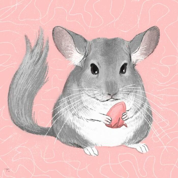 We Drew 7 Adorable Pet Portraits As A Gift For Pet Owners