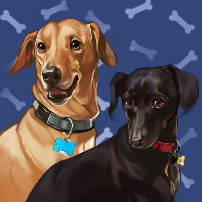 We Drew 7 Adorable Pet Portraits As A Gift For Pet Owners