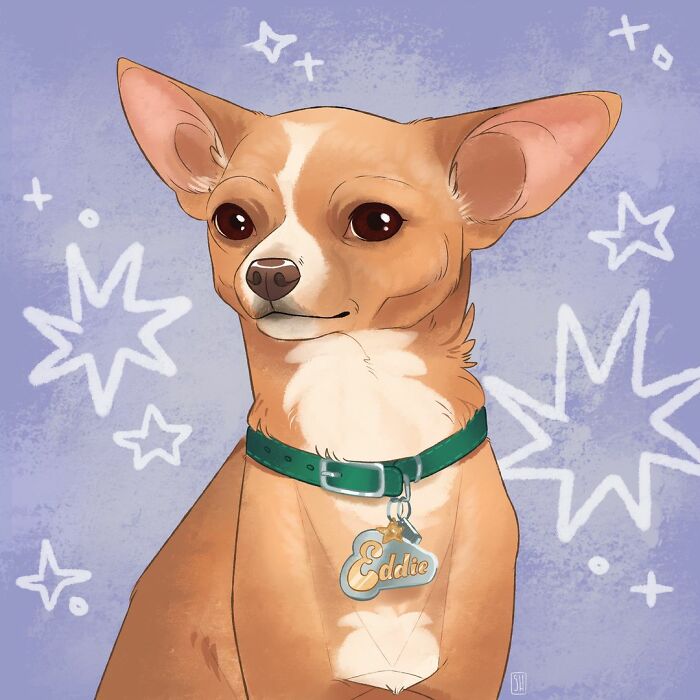 We Drew 7 Adorable Pet Portraits As A Gift For Pet Owners