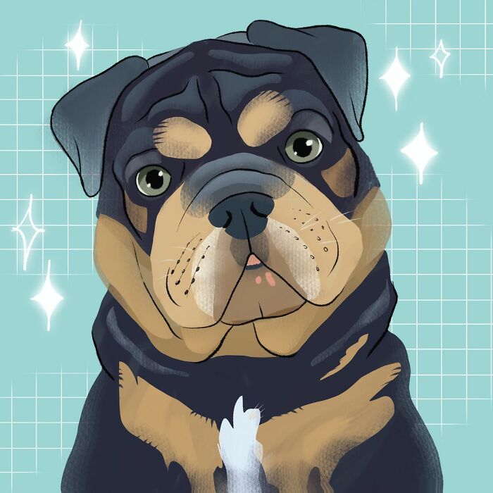 We Drew 7 Adorable Pet Portraits As A Gift For Pet Owners