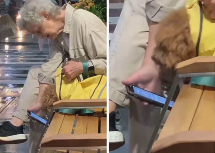 This Lady Showing Her Dog The Weather Report To Show Him That It’s Not Going To Rain Tomorrow