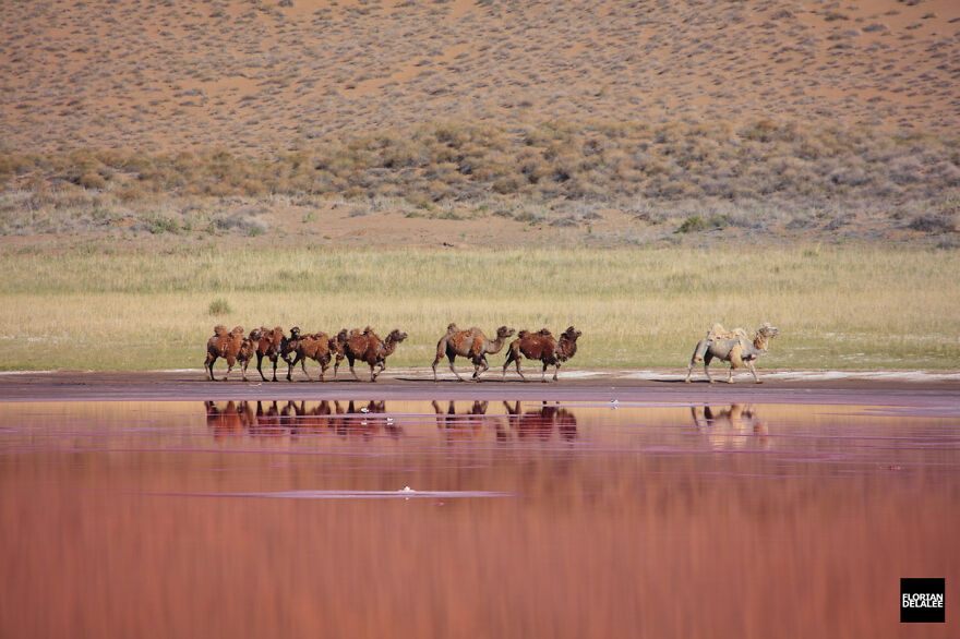 China's Most Beautiful Landscape