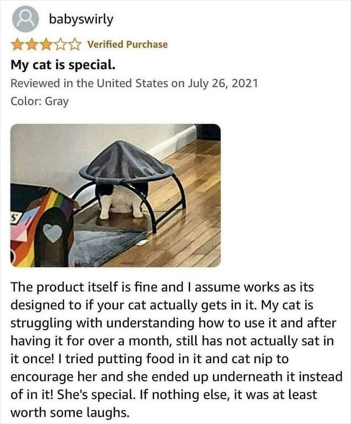 Blessed_special_cat