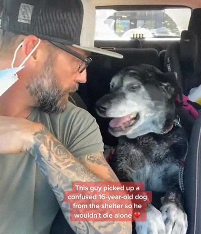 Good Guy Adopts An Old Timer So He Doesn’t Have To Die Alone