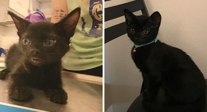 The Adoption Pic vs. What I Adopted