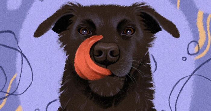 64 Cheerful Illustrations Of Pets Created By Our Artists