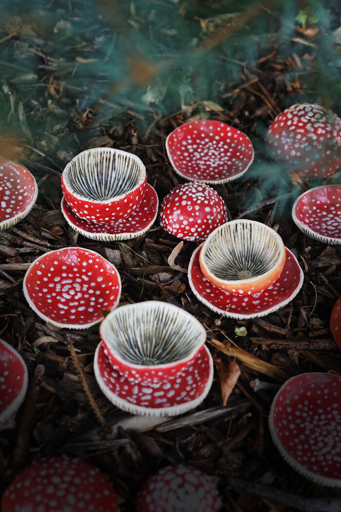Nature-inspired ceramics resembling red mushrooms with white spots, placed on a natural forest floor setting.