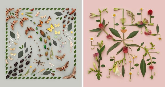 Artist Arranges Everyday Objects To Make Perfect-Looking Art Pieces, And Here Are 80 Of The Best Ones
