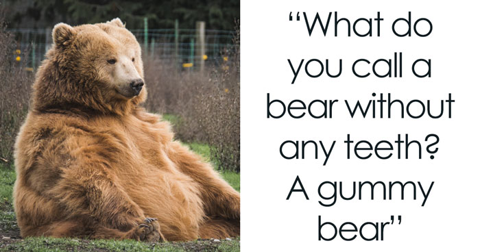 145 Un-Bear-ably Funny Bear Puns