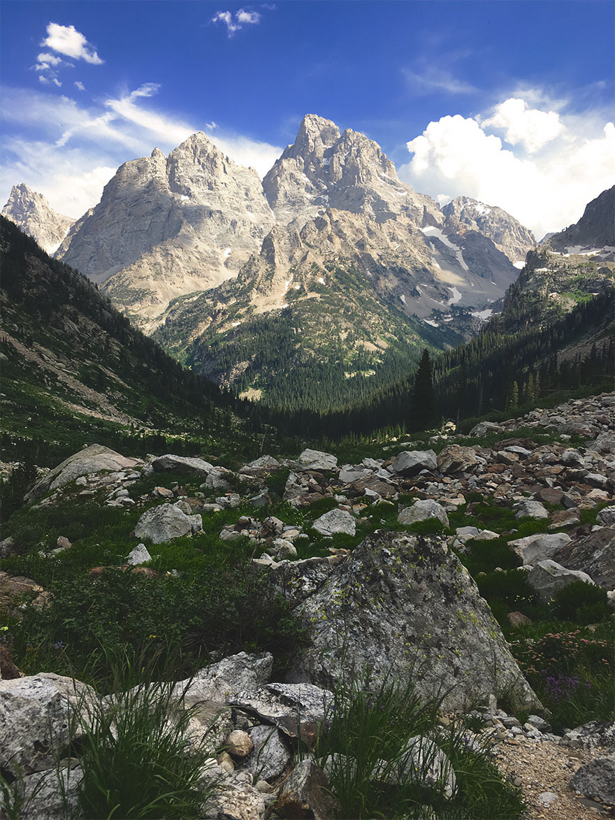 View Of Grand Teton From Cascade Canyon