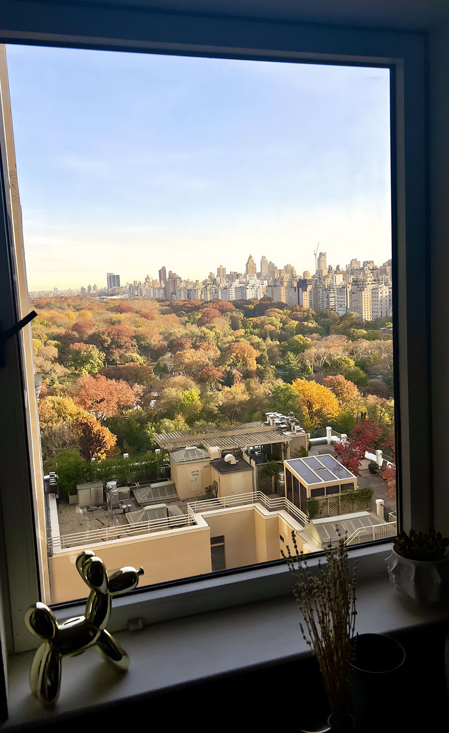 Central Park View From The Only Window In My 400 Sq Ft Studio