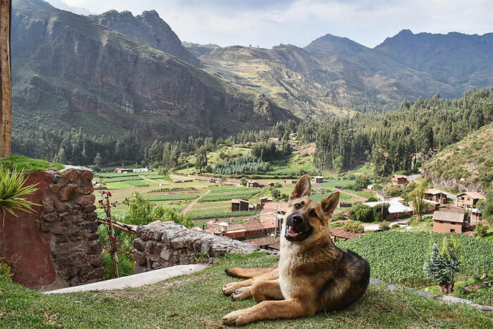 Las vistas desde un hostal de 9$ la noche en las montañas de Perú, con un buen chico
