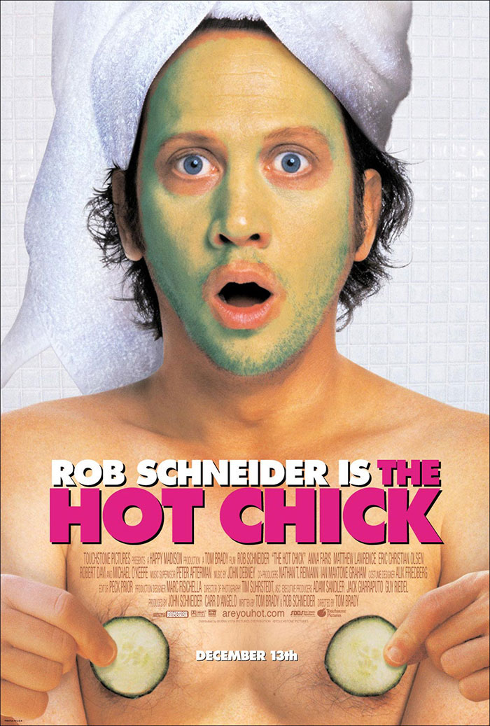 Poster of The Hot Chick movie 