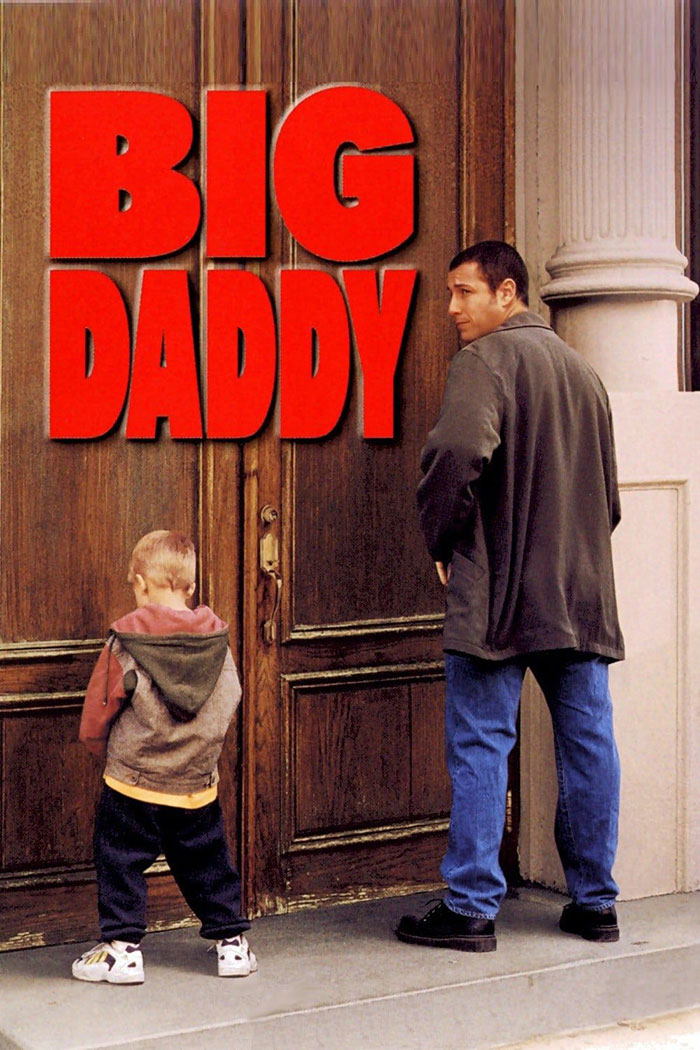 Poster of Big Daddy movie 