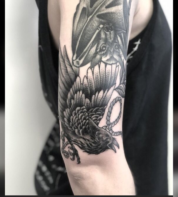 Got My Bird "Bore" As An Addition To My Existing Bat "Byte" For My Animal Sleeve