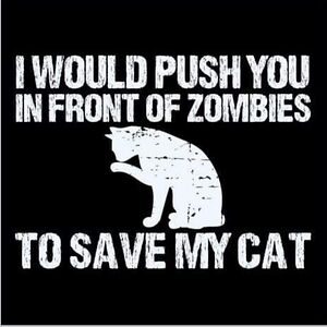 danielguerard avatar