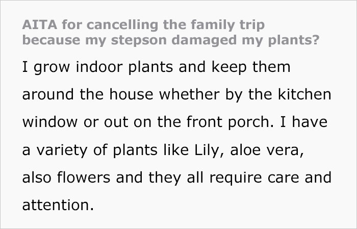 16 Y.O. Stepson Deliberately Waters His Stepdad’s Plants With Bleach, Stepdad Cancels Their Family Trip To Discipline Him