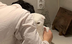 Cats Will Be Cats: A Moment Of A Japanese Cat Refusing Owner's Snuggles Goes Viral