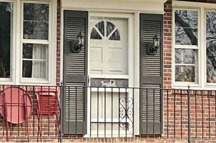 Silly Shutters