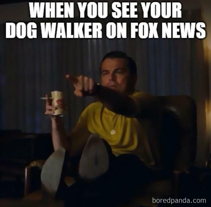 When You See Your Dog Walker On Fox