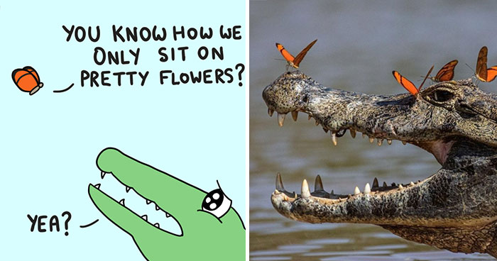 My 30 Comics Showing The Backstory Of Popular Animal Pictures