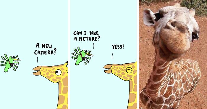 My 30 Comics Showing The Backstory Of Popular Animal Pictures