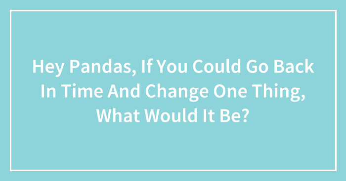 Hey Pandas, If You Could Go Back In Time And Change One Thing, What Would It Be? (Closed)