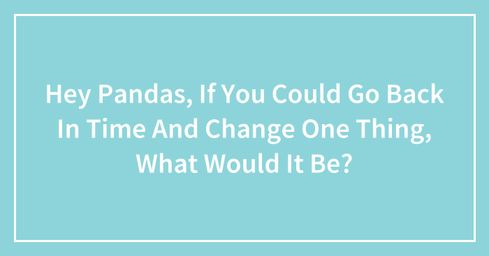 Hey Pandas, If You Could Go Back In Time And Change One Thing, What Would It Be? (Closed)