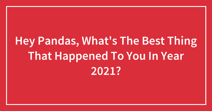 Hey Pandas, What’s The Best Thing That Happened To You In Year 2021? (Closed)