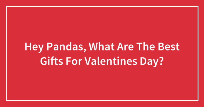 Hey Pandas, What Are The Best Gifts For Valentines Day? (Closed)
