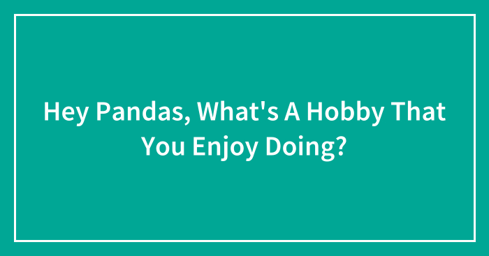 Hey Pandas, What’s A Hobby That You Enjoy Doing? (Closed)