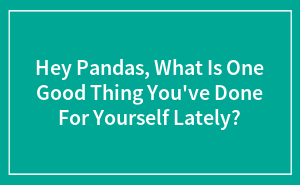 Hey Pandas, What Is One Good Thing You've Done For Yourself Lately?